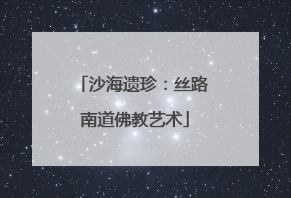 沙海遗珍：丝路南道佛教艺术
