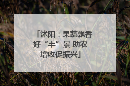 沭阳：果蔬飘香好“丰”景 助农增收促振兴