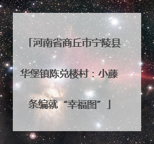 河南省商丘市宁陵县华堡镇陈兑楼村：小藤条编就“幸福图”