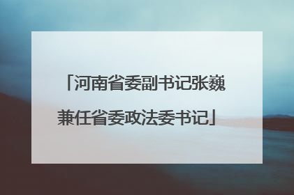 河南省委副书记张巍兼任省委政法委书记