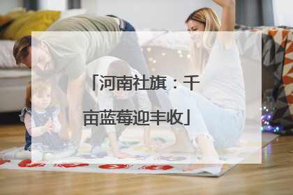 河南社旗：千亩蓝莓迎丰收