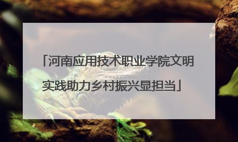 河南应用技术职业学院文明实践助力乡村振兴显担当