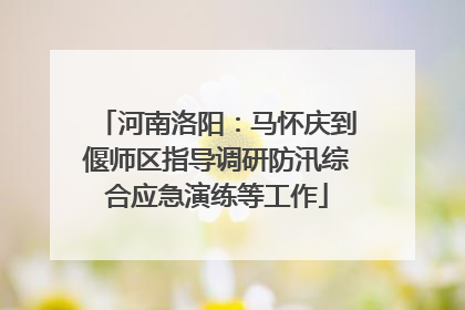 河南洛阳：马怀庆到偃师区指导调研防汛综合应急演练等工作