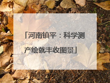 河南镇平：科学测产绘就丰收图景