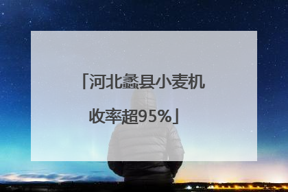河北蠡县小麦机收率超95%