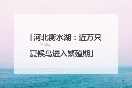 河北衡水湖：近万只夏候鸟进入繁殖期