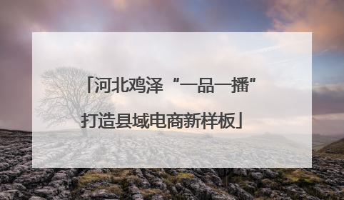 河北鸡泽“一品一播”打造县域电商新样板