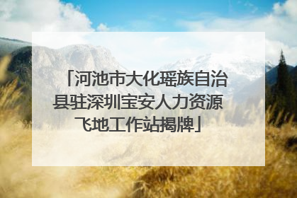 河池市大化瑶族自治县驻深圳宝安人力资源飞地工作站揭牌