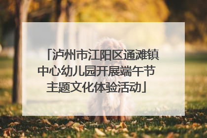 泸州市江阳区通滩镇中心幼儿园开展端午节主题文化体验活动