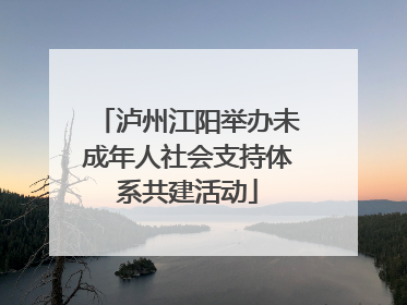 泸州江阳举办未成年人社会支持体系共建活动