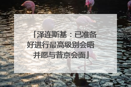 泽连斯基：已准备好进行最高级别会晤并愿与普京会面