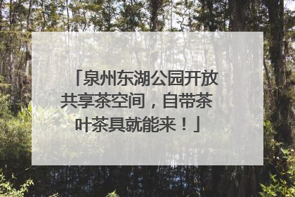 泉州东湖公园开放共享茶空间，自带茶叶茶具就能来！