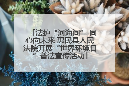 法护“河海间” 同心向未来 惠民县人民法院开展“世界环境日”普法宣传活动