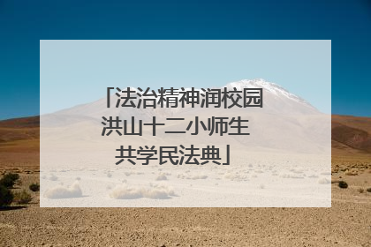 法治精神润校园 洪山十二小师生共学民法典