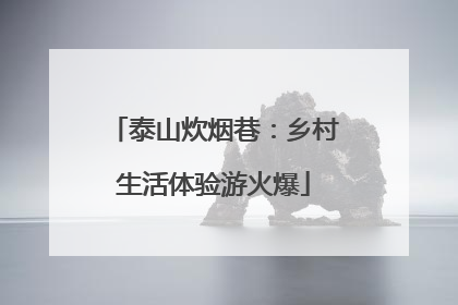 泰山炊烟巷：乡村生活体验游火爆