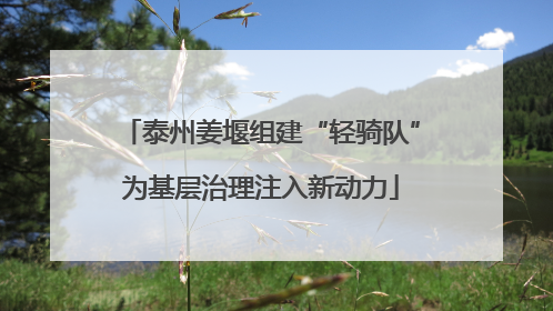 泰州姜堰组建“轻骑队”为基层治理注入新动力