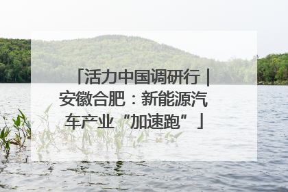 活力中国调研行｜安徽合肥：新能源汽车产业“加速跑”