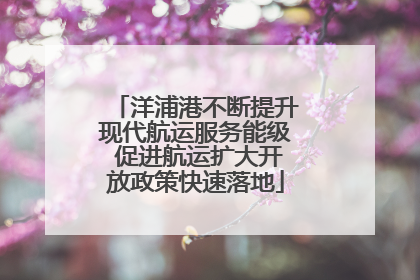 洋浦港不断提升现代航运服务能级 促进航运扩大开放政策快速落地