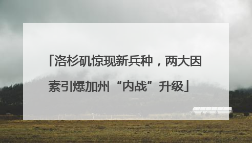 洛杉矶惊现新兵种，两大因素引爆加州“内战”升级