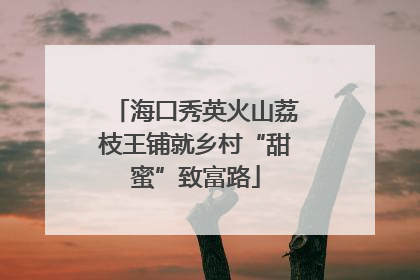海口秀英火山荔枝王铺就乡村“甜蜜”致富路