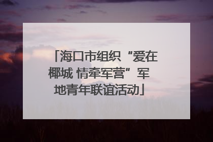 海口市组织“爱在椰城 情牵军营”军地青年联谊活动