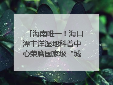 海南唯一！海口潭丰洋湿地科普中心荣膺国家级“城市儿童友好空间建设园区”称号