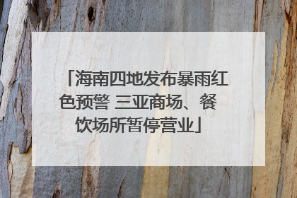 海南四地发布暴雨红色预警 三亚商场、餐饮场所暂停营业