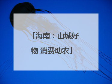 海南：山城好物 消费助农