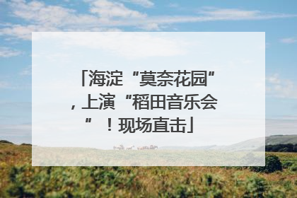 海淀“莫奈花园”，上演“稻田音乐会”！现场直击