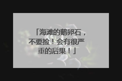 海滩的鹅卵石，不要捡！会有很严重的后果！