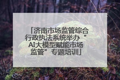 济南市场监管综合行政执法系统举办“AI大模型赋能市场监管”专题培训
