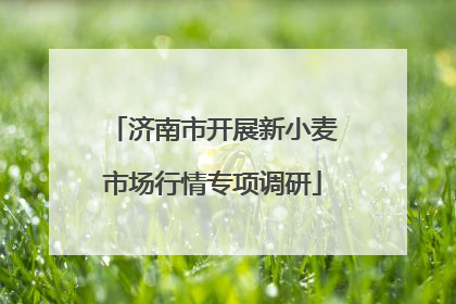 济南市开展新小麦市场行情专项调研