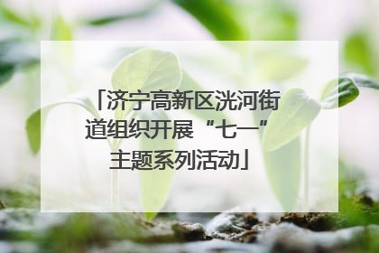 济宁高新区洸河街道组织开展“七一” 主题系列活动