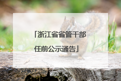 浙江省省管干部任前公示通告