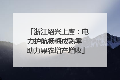 浙江绍兴上虞：电力护航杨梅成熟季 助力果农增产增收