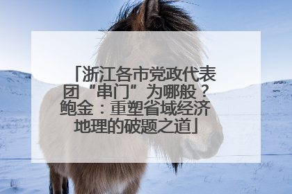 浙江各市党政代表团“串门”为哪般？鲍金：重塑省域经济地理的破题之道