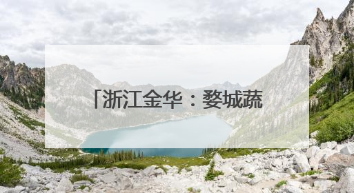 浙江金华：婺城蔬菜也“坐”上了飞机，无人机为乡村振兴插上“翅膀”