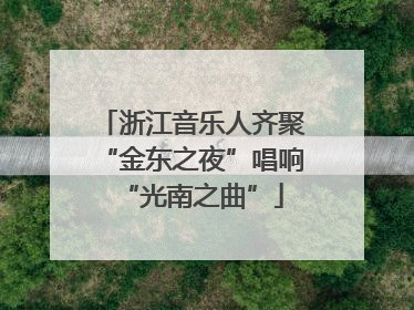 浙江音乐人齐聚“金东之夜”唱响“光南之曲”
