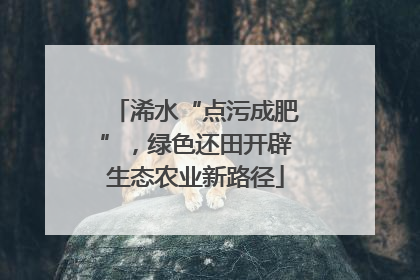 浠水“点污成肥”，绿色还田开辟生态农业新路径