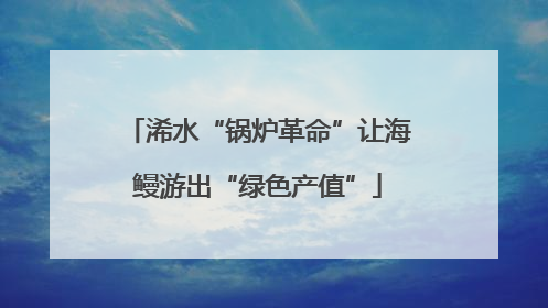 浠水“锅炉革命”让海鳗游出“绿色产值”