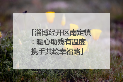 淄博经开区南定镇：暖心助残有温度 携手共绘幸福路
