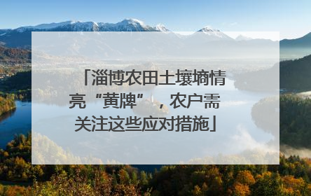 淄博农田土壤墒情亮“黄牌”，农户需关注这些应对措施