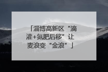 淄博高新区“滴灌+氮肥后移”让麦浪变“金浪”