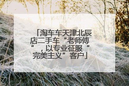 淘车车天津北辰店二手车“老师傅”，以专业征服“完美主义”客户