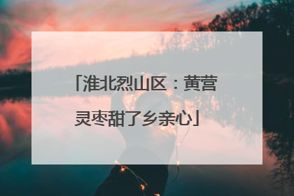 淮北烈山区：黄营灵枣甜了乡亲心