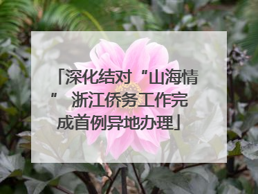 深化结对“山海情” 浙江侨务工作完成首例异地办理