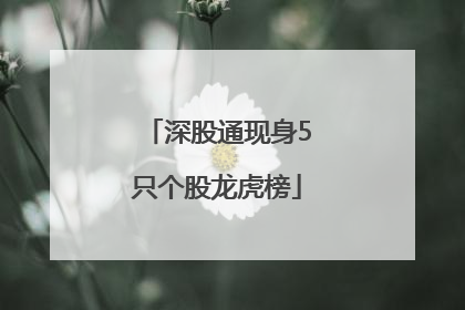 深股通现身5只个股龙虎榜