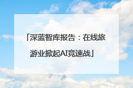 深蓝智库报告：在线旅游业掀起AI竞速战