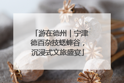游在德州｜宁津德百杂技蟋蟀谷，沉浸式文旅盛宴