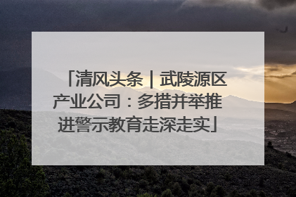 清风头条｜武陵源区产业公司：多措并举推进警示教育走深走实